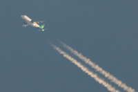 EI-GAL